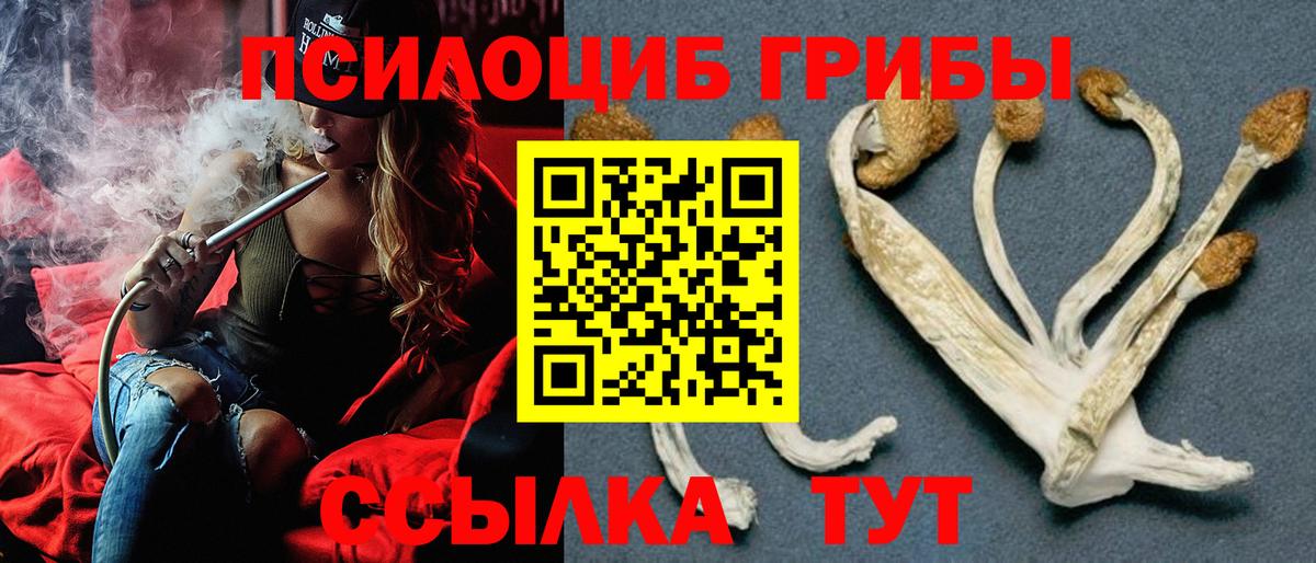 Галлюциногенные грибы Psilocybe Донской